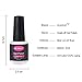 CLAVUZ (Pick Any 3 Colors) Magnetic Nail Polish Set Charming 3D Cat Eye UV LED Gel Nail Varnish Starter Tool Kits DIY at Home Gift Magic Sticker