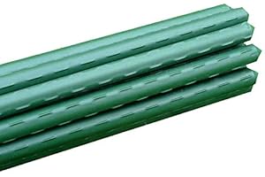 GardenSkill Garden Plant Stakes - Plastic-Coated Metal Plant Supports for Vegetables Flowers Fruit (11mm dia x 0.75m, Pack 10)