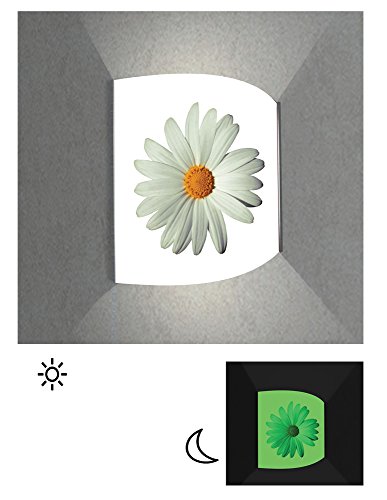 Preisvergleich Produktbild Wandbeleuchtung Startoshop, nachleuchtende Wandlampe, Wandleuchte Frontscheibe Plexiglas, Design Marguerite Blume, Wandlampe mit 4W LED Leuchtmittel, 37 cm x 40 cm