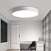 Price comparison product image BOSSLV Ceiling Lamps Lights Modern Contemporary Led Ceiling Lamps Lights Luminaire for Living Room Classic Style Remote Control Lamp round Circle Fixture Dimmable Lustre, 50cm 36w,warm White, Bl