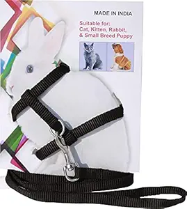Pedigone Dog Belt Combo of Rabbit Harness with Leash Specially for Rabbit, Small Dogs, Puppies, Cat & Kitten Rabbit Harness Leash (Black)