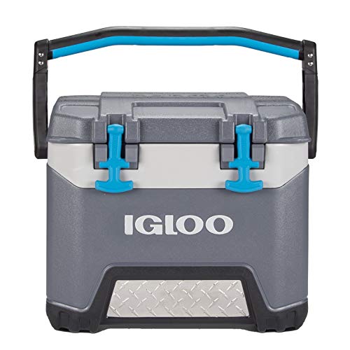 Igloo Coolers Europe BMX 25 Adulte Unisexe, Gris, 23 Litre