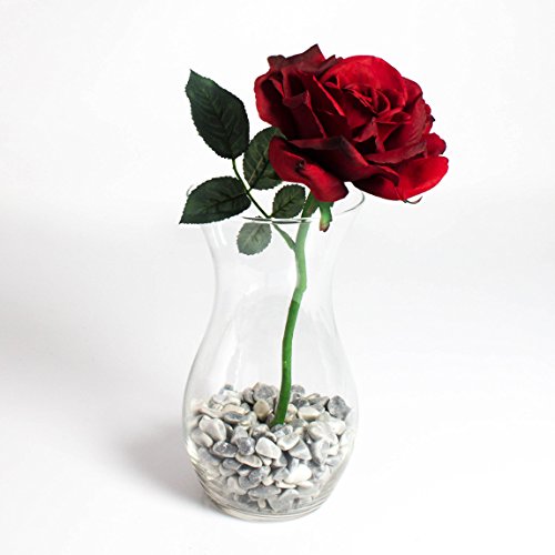 Runde XXL Tischvase POLLY DELUXE aus Glas, klar, 25 cm, Ø 13,5 cm – Blumenvase / Glasvase – INNA Glas - 4