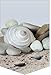 Produktbild Horn textiles Calypso 10 Fensterbild Muschel, 30 cm x 45 cm, halbtransparent