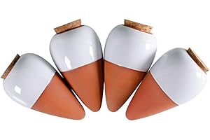 Feriany Lot de 4 boules d'irrigation pour plantes en terre cuite - Arrosoir à libération lente - 16 onces - Brochette auto-arrosage