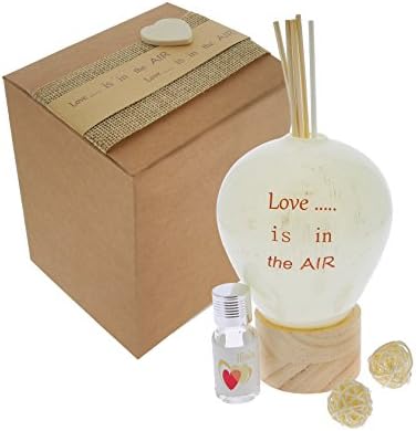 Reed Diffuser Hot Air Balloon Large Glass/Wood 10 x 14 + Perfume C/AST.