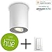 Produktbild PHILIPS HUE White Ambiance Pillar LED-Aufbaustrahler 1er Spot inkl. Fernbedienung weiß | Innen | dimmbar | 230V | GU10 | 350 Lumen | 5,5 W | Lampe | Deckenleuchte | Deckenspot | Wohnzimmer | Schlafzimmer | Kinderzimmer | Arbeitszimmer | Küche | Flur