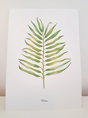 Botanical Leaves Prints (Fern A4)