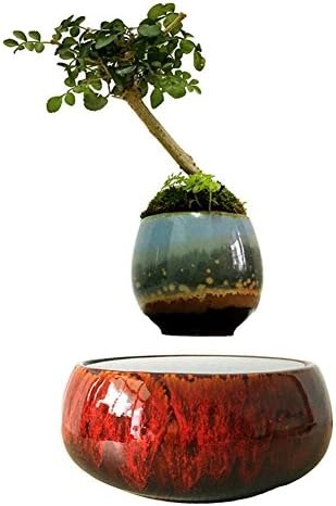 Potted plants fleshy simple decoration magnetic diy floral living room gift air bonsai floating-E