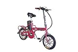 Fitness House Fh 01 Bicicletta elettrica a pedalata assistita, pieghevole,  250 W, Nero