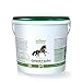 Produktbild AniForte Gelenk-VETAL Pferd 1kg - Aktiv Gelenk-Kraft für Pferde, Gelenk-Pulver Vital mit Teufelskralle, Ingwer, Weizenkleie, Unterstützung Gelenke, Bewegung, Wohlbefinden, Vitalität, Stoffwechsel