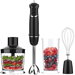 OXA puissant Mixeur à main 600 watts 4-en-1, noir