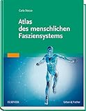 Image de Atlas des menschlichen Fasziensystems