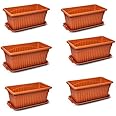 Green Live® Plastic Rectangular Planter with Tray Pot – Brown (35x18x14cm) – Pack of 6, Durable Indoor/Outdoor Flower Box for Garden, Balcony, and Home Décor
