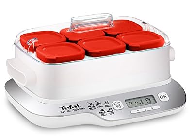 Moulinex Tefal multidelices – yaourts Multi délices express blanc