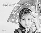 Lebensbilder 2012 by