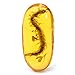 Produktbild GOZAR Real Centipede Anhänger Amber Gelb Pflanzen Insekten Dekoration DIY Accessoires