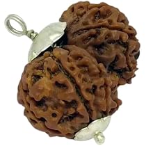 Gauri Shankar Rudraksha गोरी शंकर रुद्राक्ष ...