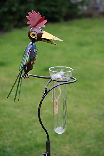 Regenmesser Vogel bunt Glaseinsatz „Crazy Joe“ - 2