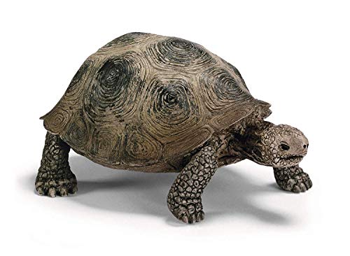Schleich 14601 - Riesenschildkröte thumbnail