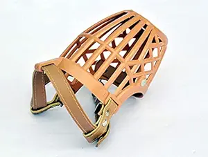RvPaws Adjustable Muzzle Cum Mouth Cover/Basket Cage Collar for Dog (Beige, Size-5), Small