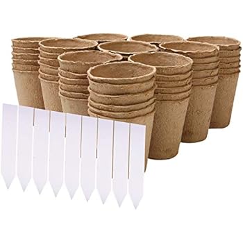 VASI DI TORBA JIFFY Per Semina E Trapianto -Mod. 122 - Cm6 - Foto 8