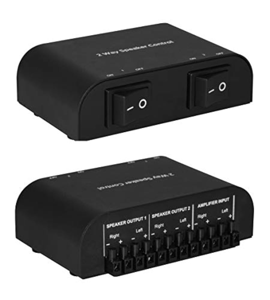 Speaker output