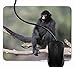 Produktbild Mauspad Wilder schwarzer Klammeraffe Rutschfeste Gummi Basis Mouse pad, Gaming mauspad für Laptop, Computer 1F2236