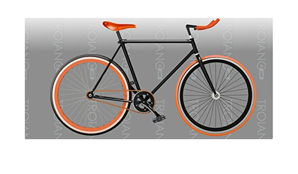 Bici Fissa Single Speed Bicicletta Scatto Fisso Fixed : Amazon.it: Sport e  tempo libero