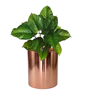 eSplanade Metal Flower Pot for Living Room, Bedroom, Garden or Tabletop Planter - 6 inches