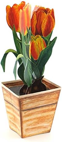 POP-UP CARD "RED TULIPS": A folded 3-D-card of red-orange tulips in a flower pot - can easily stand on your table - a nice spring or Easter greeting card