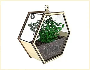 Inllex Wall Hanging Wooden Flower Pot, Wood Garden Stand Hanging Vector Flower Pot for Home Decoration, Wall Mounted Flower Basket Planter Hanging Flower Pot showpiece Balcony Decoration Room Patio (Hexagon)
