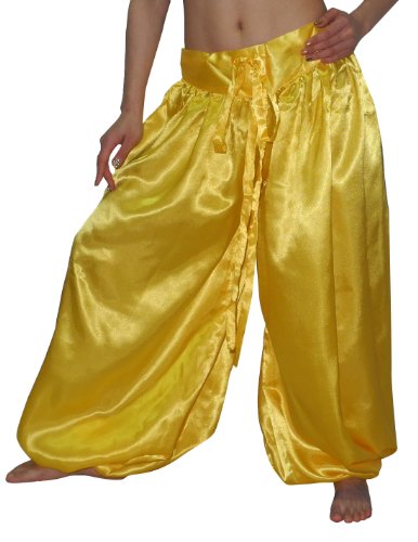 Womens Exotic Belly Dance Chiffon Harem Pants / Bloomers