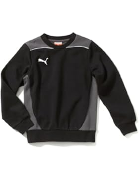 PUMA Kinder Sweatshirt Foundation Sweat