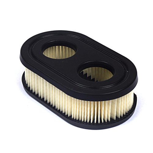798452 Briggs und Stratton Luftfilter