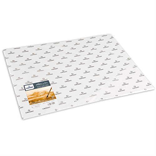 Papel de acuarela Canson Moulin du Roy, color weiß rau 56 x 76 cm