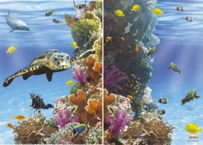 RNK Verlag Chemise dessin/rangement Unten im Meer, A3