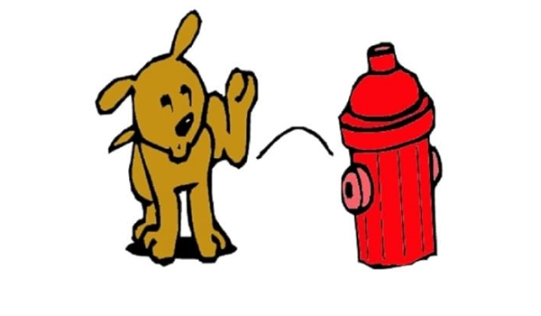 dog fire hydrant potty