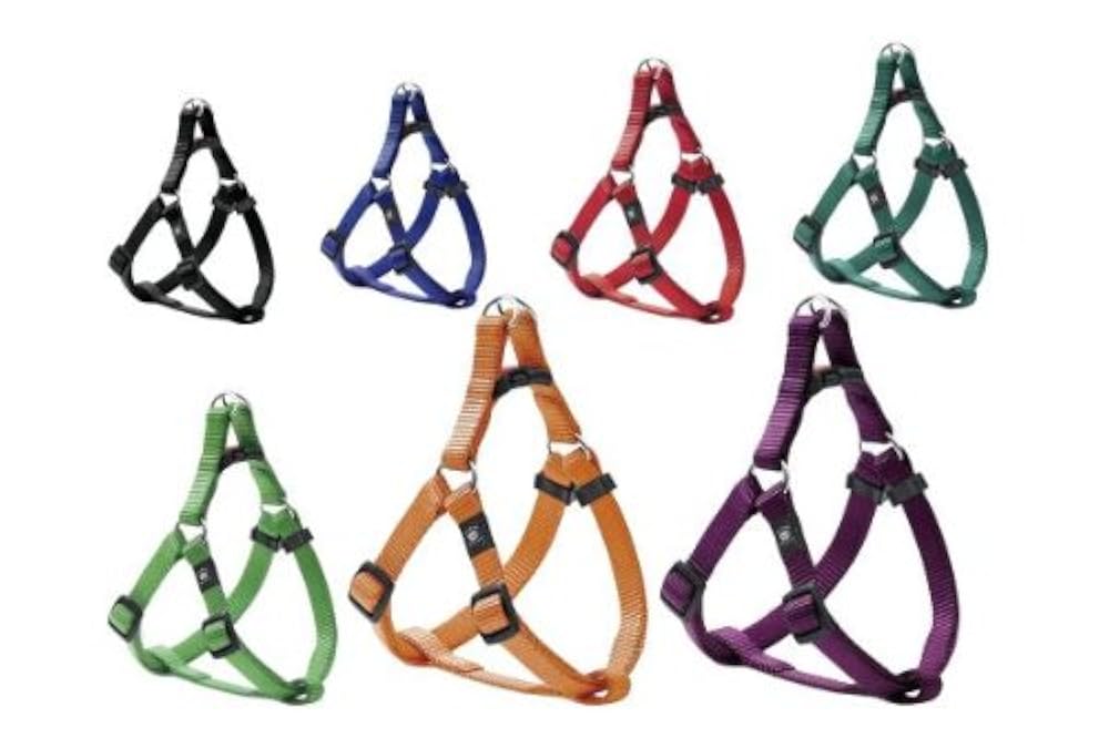 Шлейка Для Шпица Купить В Москве