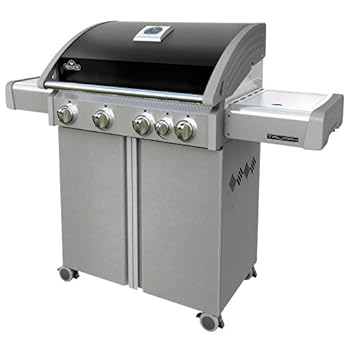Napoleon Gasgrill Triumph T495 Sb Propangas