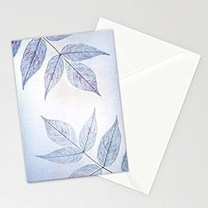 Design Fotokunst Postkarte Claudia Drossert