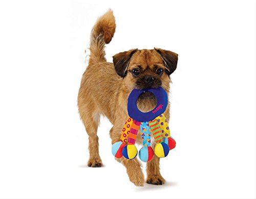 Petstages-Toss-and-Shake-Colours-and-Patterns-May-Vary