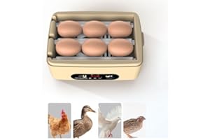 OANMARG 6 Eggs Automatic Incubator For Poultry Hatching, Automatic Flipping Temperature Control Function, Experimental Exploration Of Chicken, Duck, Goose, And Bird Egg Incubate,Gifts