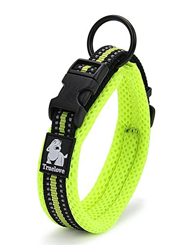 Rantow Cuello de perro fuerte transpirable Collar de perro de seguridad ajustable cómodo para perros pequeños / medianos / grandes (verde) (XXS 28-30cm)