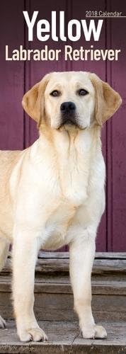 Yellow Labrador Retriever Slim Calendar 2018 (Slim Standard)