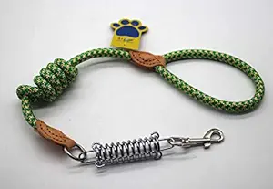 A+a Pets Poly Woven Leash with Spring for Your Pet (Green & Beige), Green & Beige, Medium, 170 g