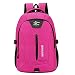 Produktbild Unbekannt Reise Rucksack, Langlebiger Rucksack, Große Kapazität Reise Rucksack Mit Vielen Taschen, Wasserabweisende College-Schulter Rucksack-Pink