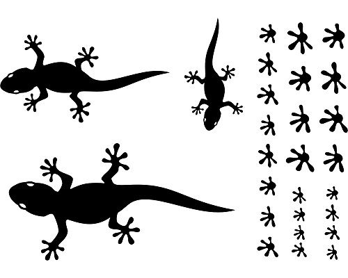 Gecko Wandtattoo Creativ-Set in 5 Größen und 25 Farben (45x31cm mint) - 3
