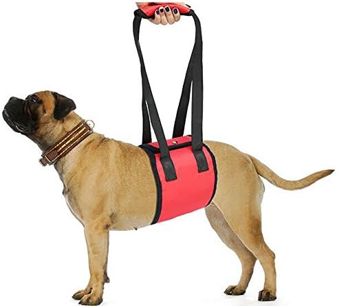 Pet Dog Lift Support Sling Harness WeiHi Rehabilitation Halter Support Sling Helps Dogs With Weak Legs Stand Up Walk Climb Stairs for Small Medium Large Dogs (L, Red)