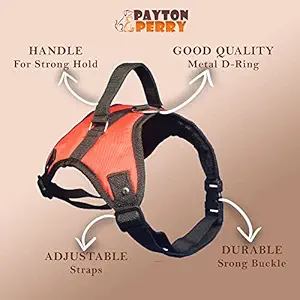 Payton Perry Dog Vest Body Harness, Easy Control Chest Body Belt for Pets, Choke-Free Double Padded Vest with Adjustable Neck and Chest (Girth inch: 26